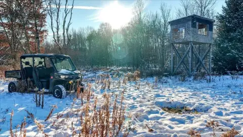 Secluded 80-Acre Hunting and Recreational Land