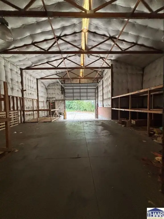Picture 5