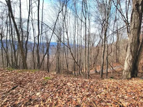 Homesite with Mountain and Valley Views