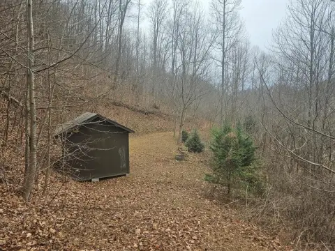 Unrestricted Land in Smoky Mountains