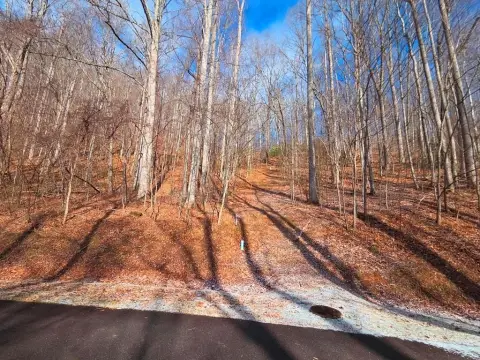 Waynesville Homesite in Gated Community