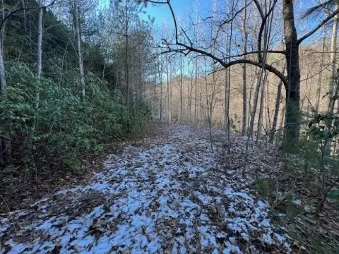 Residential Land in Almond, NC