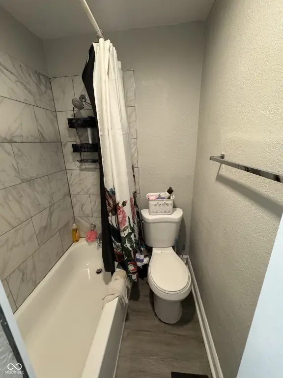 Picture 12