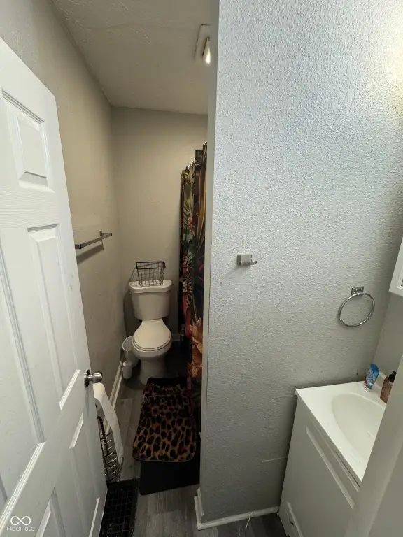Picture 5