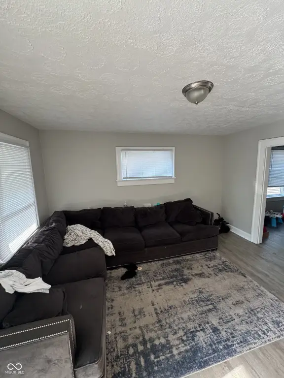 Picture 14