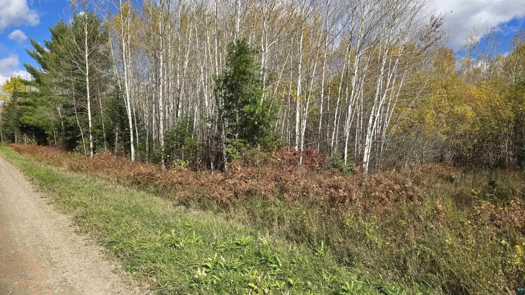 Picture 18