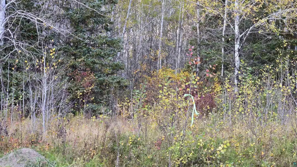 Picture 22