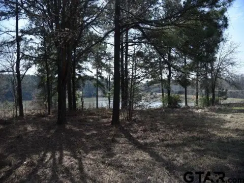Waterfront Lot in Montalba, TX