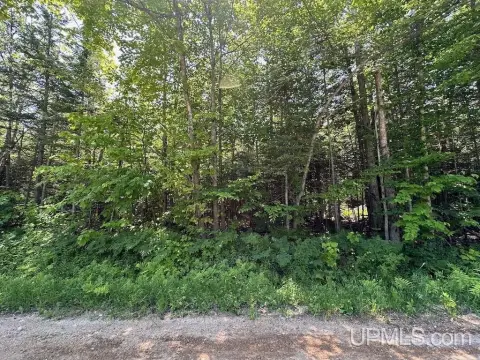 Two Acre Wooded Parcel