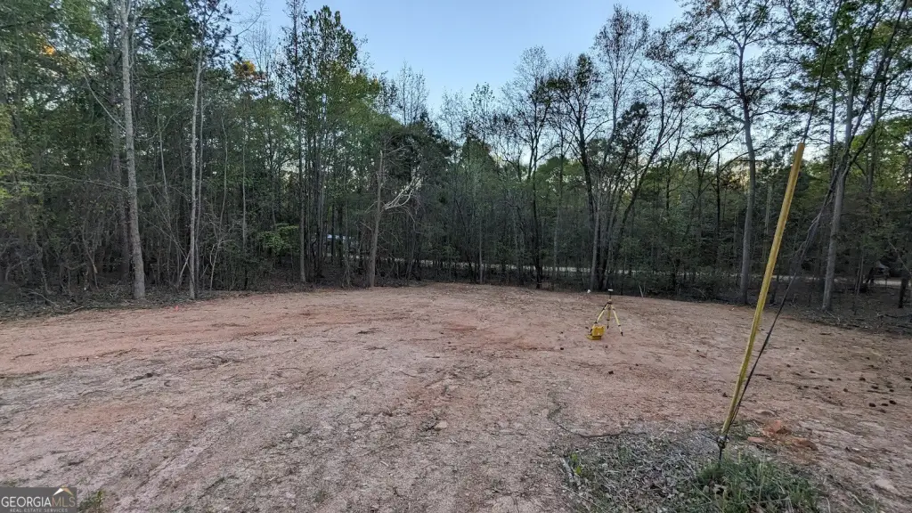 Picture 4