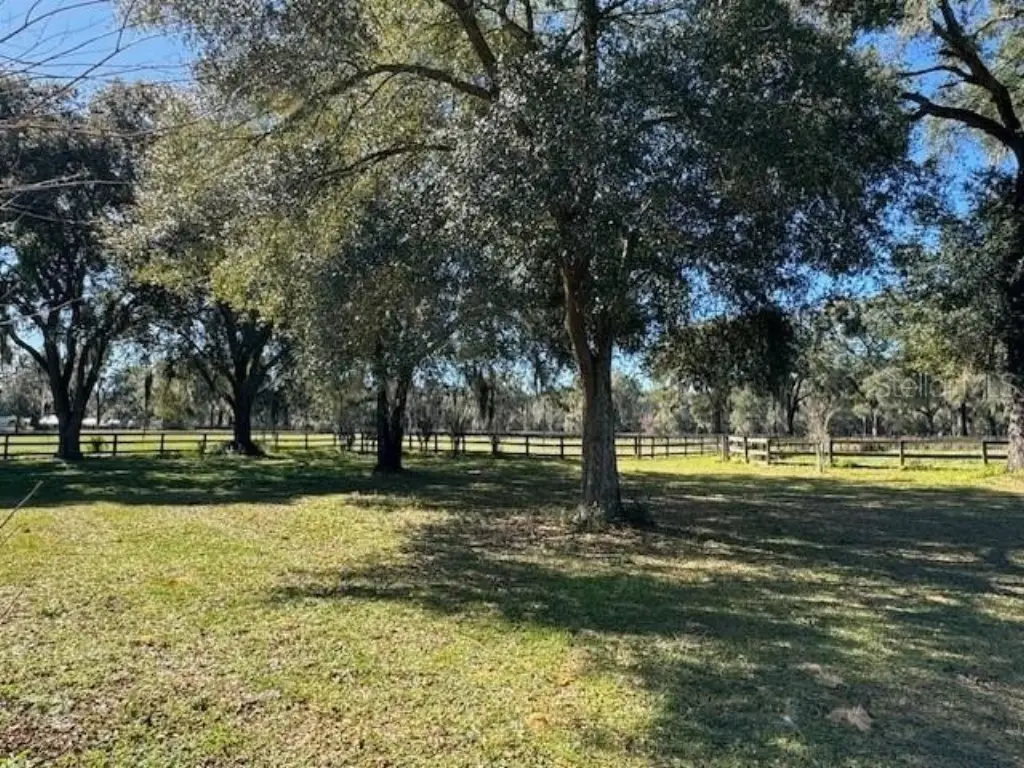 Picture 26
