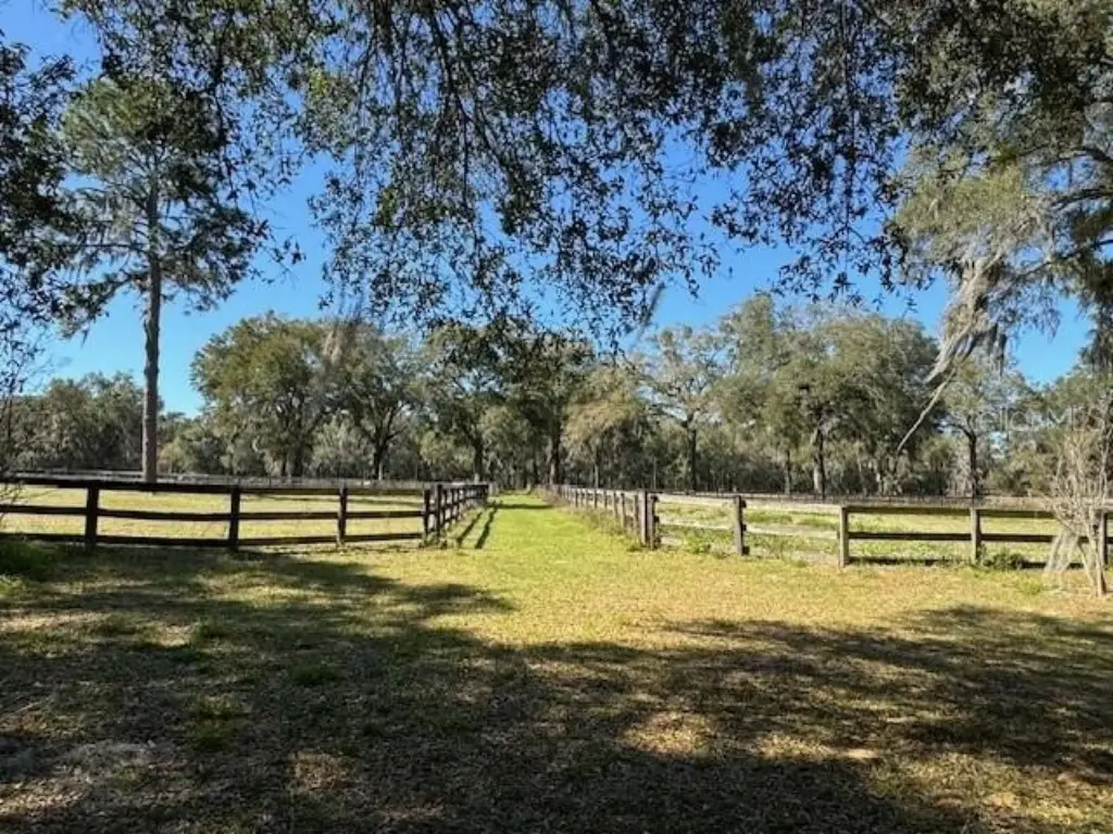 Picture 27