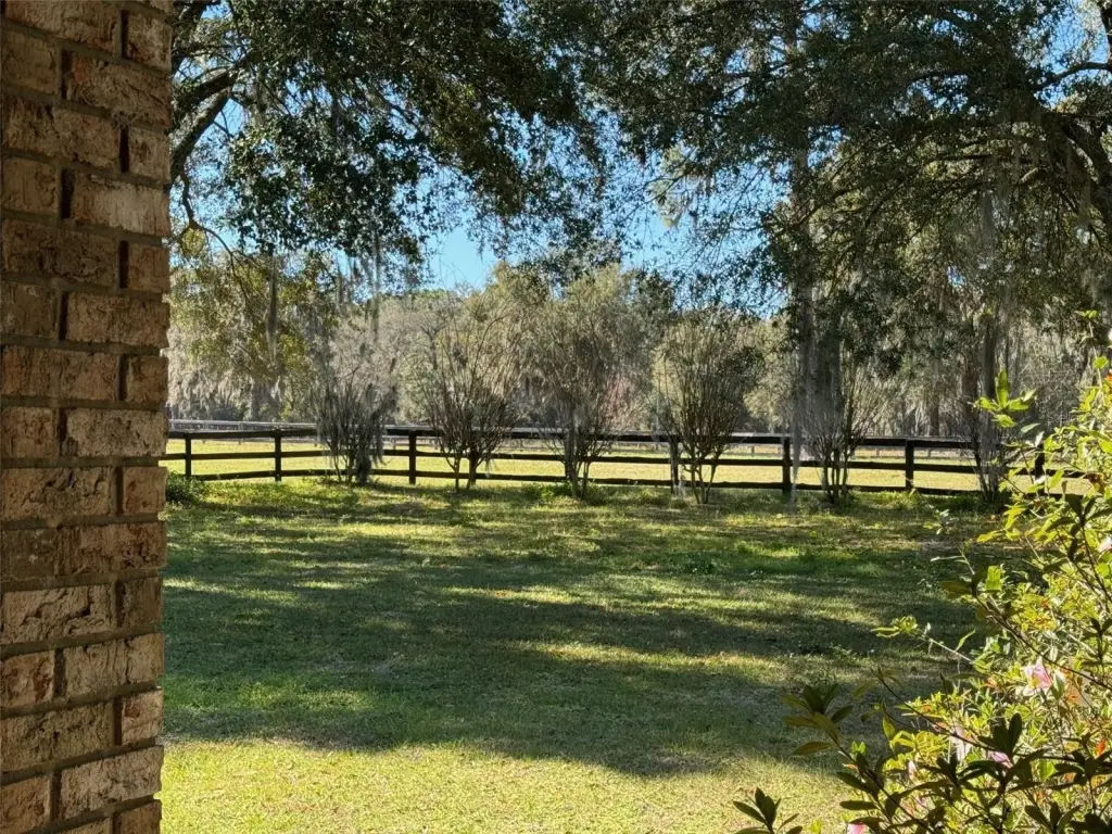 Picture 31