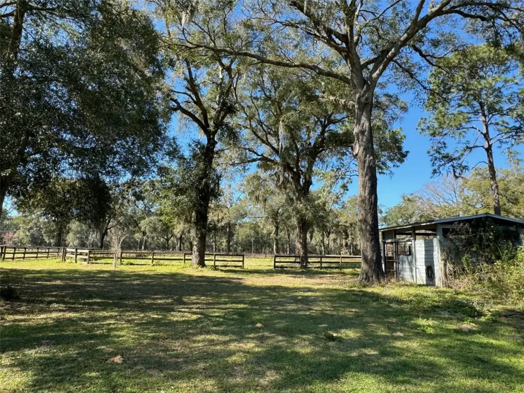 Picture 25