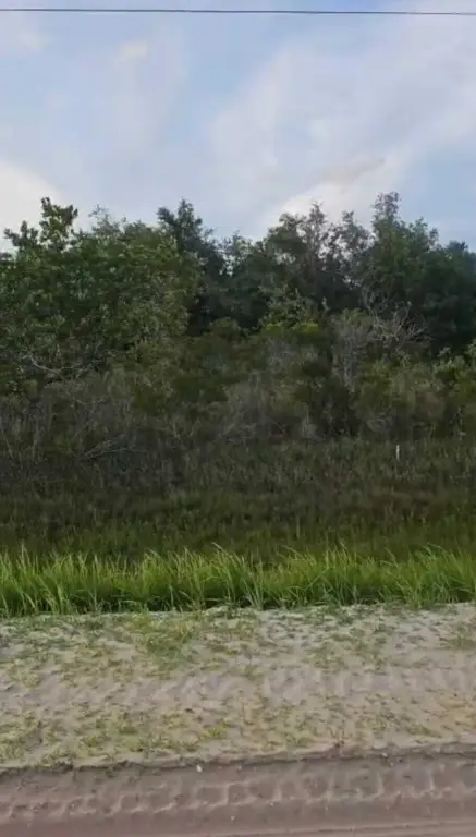 Picture 3