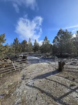 Bonanza Residential Lots with Trees