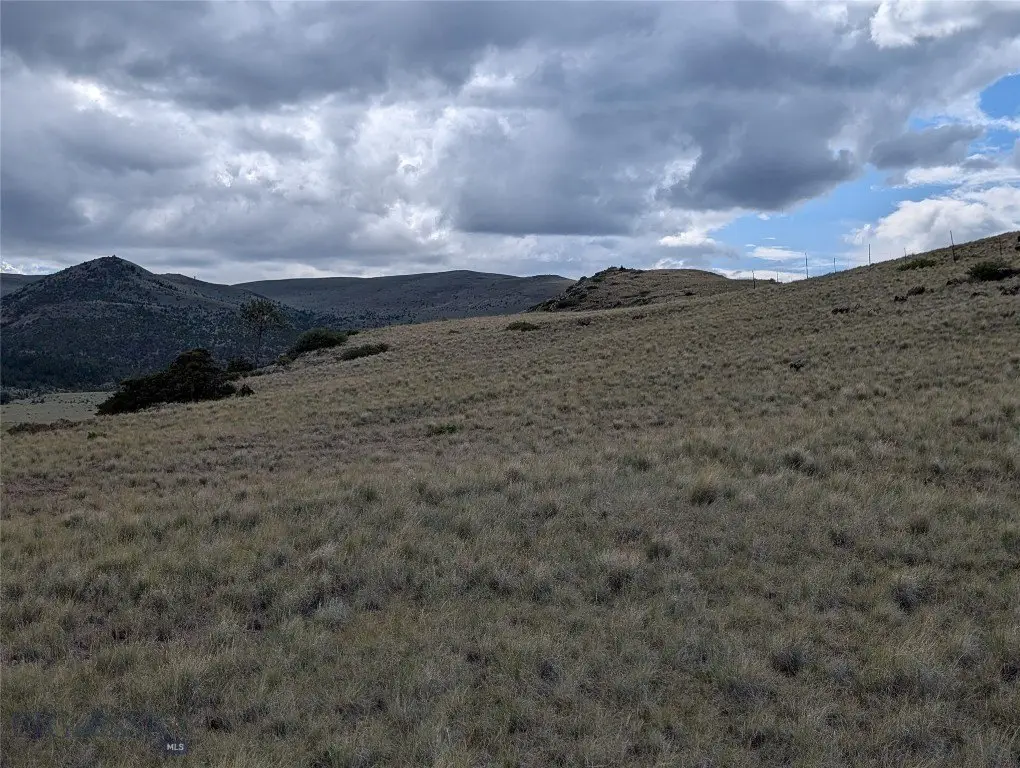 Picture 29