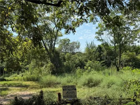 Level Wooded Land Parcel