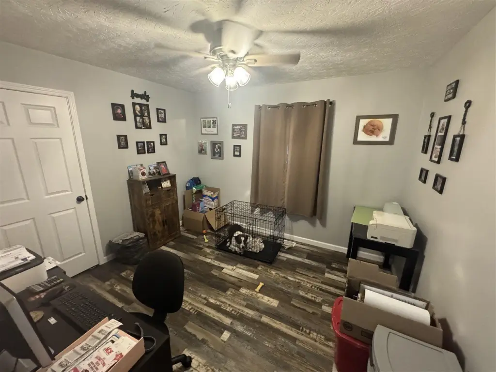 Picture 21