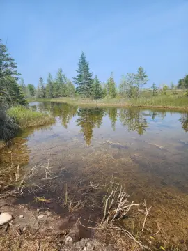 Land with Garage in Alpena