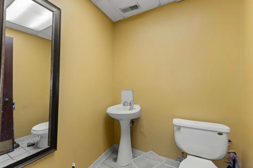 Picture 15