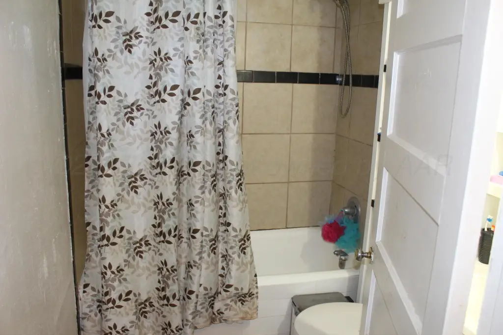 Picture 8