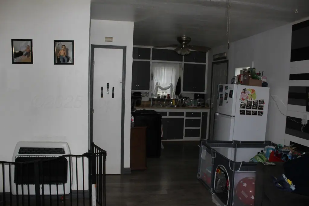Picture 5