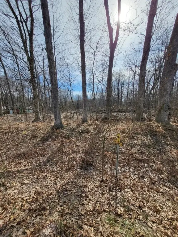 Picture 16