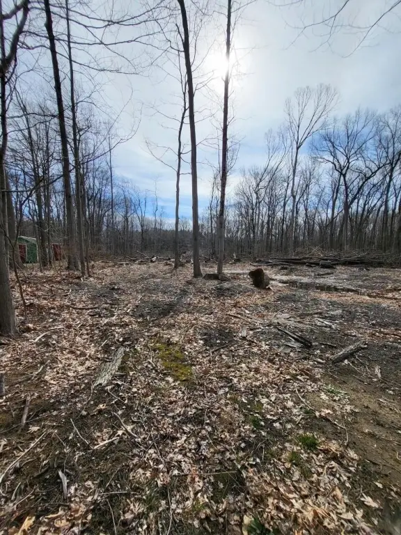 Picture 15