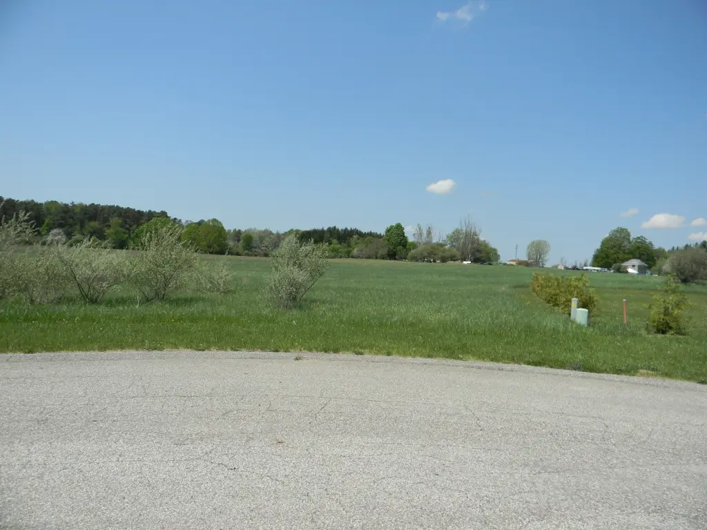 Picture 21