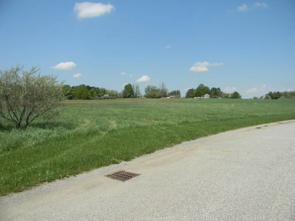 Picture 23