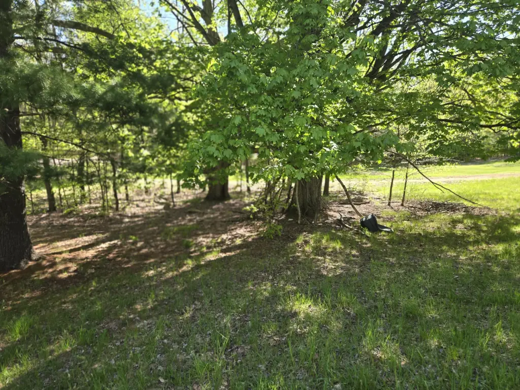 Picture 9
