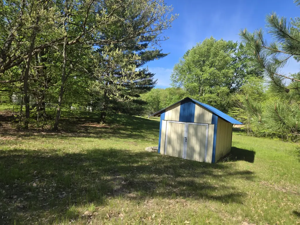 Picture 21