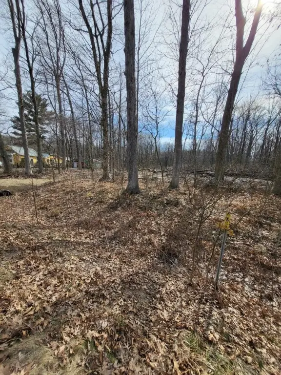 Picture 17