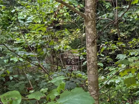 Land in Doe Mountain Estates