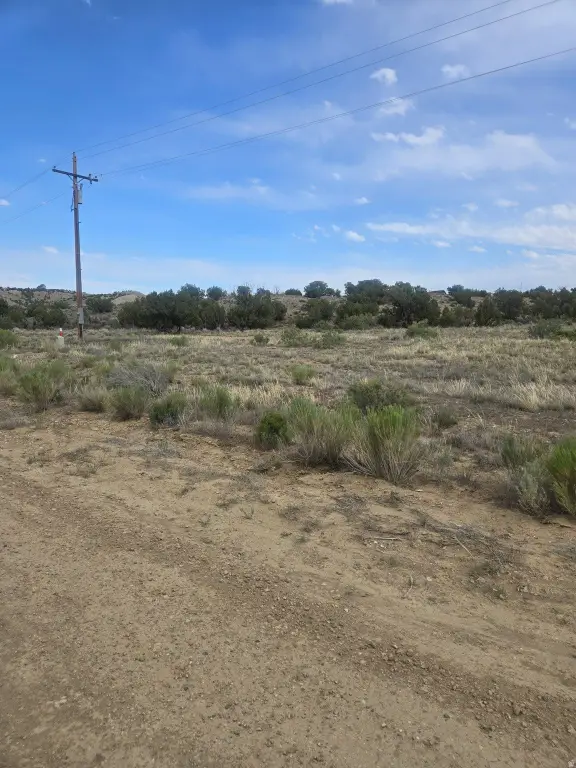Picture 3