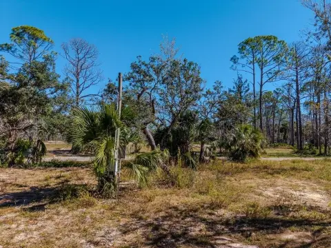 Steinhatchee Land Ready for Development