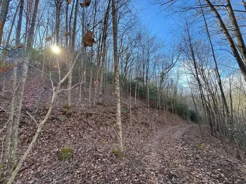 Wooded Land with Development Potential