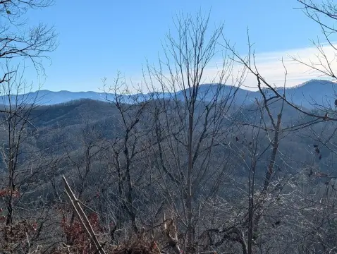 Diamond Falls Wooded Lot