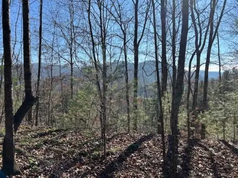 Unrestricted Mountain Land in Topton