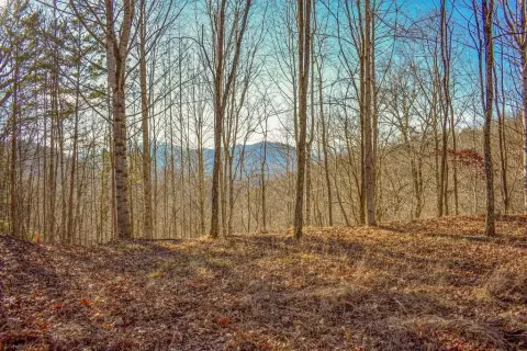 2.24 Acre Wooded View Lot