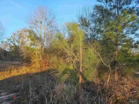 Vacant Land in Cantonment, FL