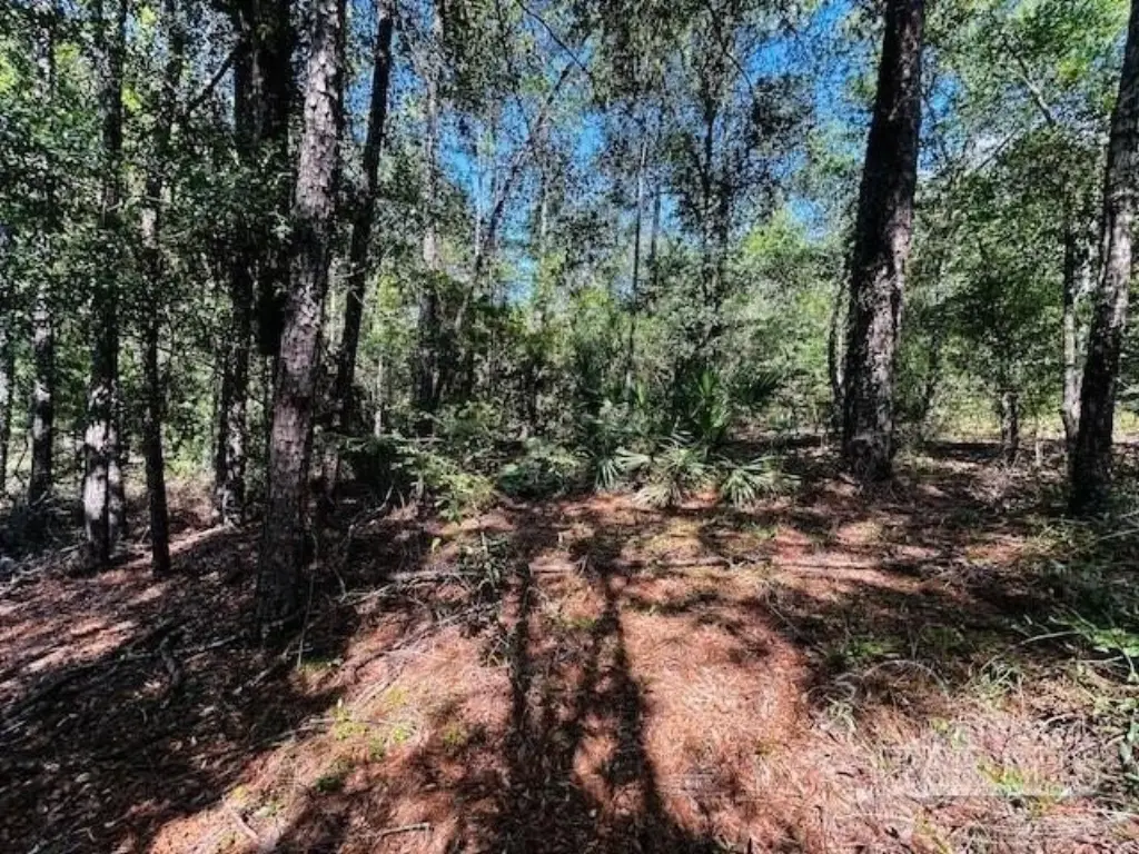 Picture 17