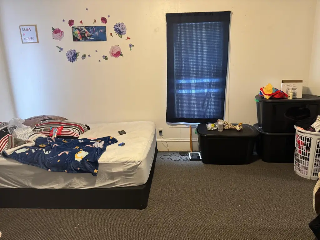 Picture 31