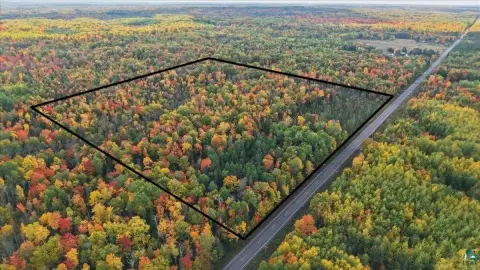 Wooded Hunting Land