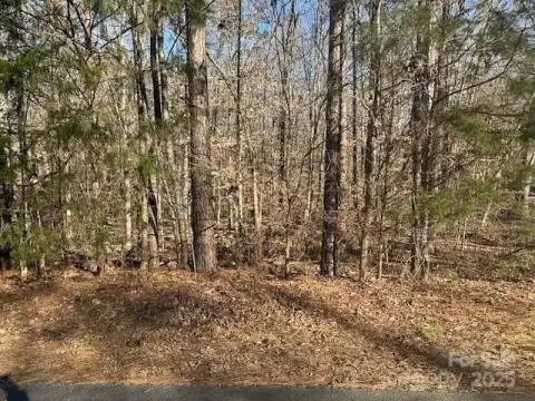 Residential Land in Rock Hill