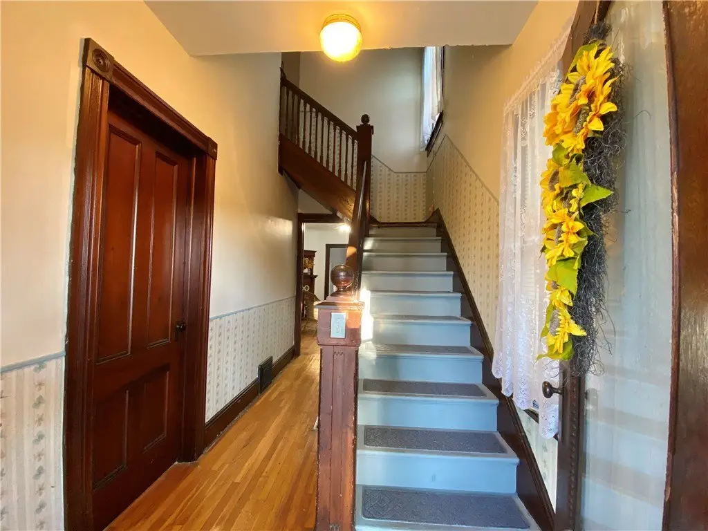 Picture 5