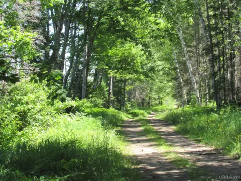 240-Acre Recreational Land in Champion, MI