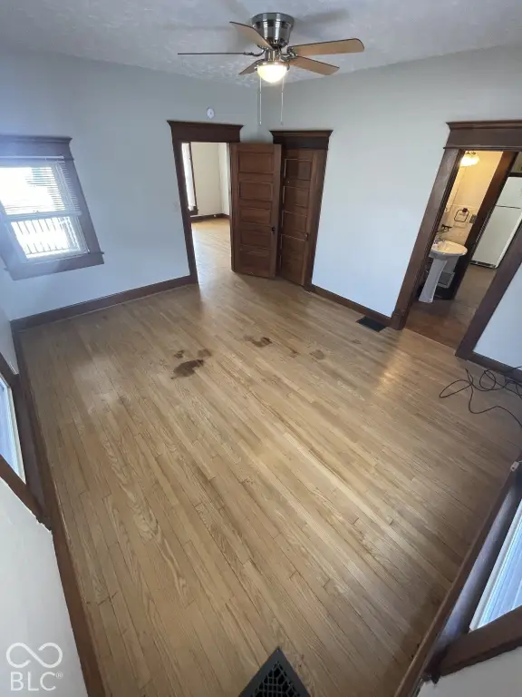 Picture 5