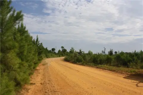 Hunting Land with Timber